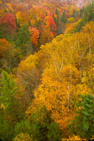 Michigan Fall Color
