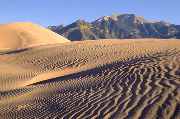 great sand dunes 4.jpg