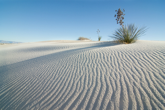White Sands National Monument_1