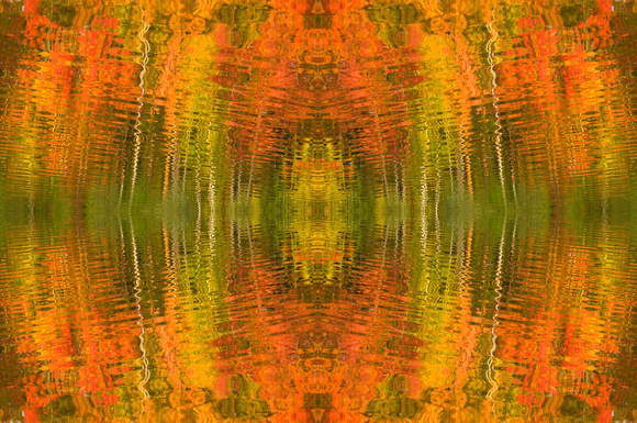 fall mirror reflections 08 1.jpg