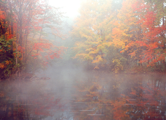 fall color fog huron river 06 1.jpg