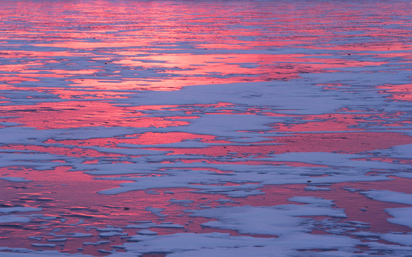 sunrise color on ice 09 233.jpg