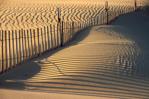 caseville sand fence dune shadows 1.jpg