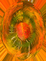 swirling red leaf 08.jpg