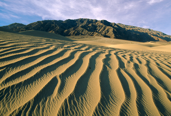 death valley sand dunes 1.jpg