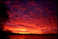 whitmore lake sunrise 2.jpg