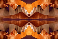 antelope 10 mirror.jpg