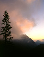 mt rainier national park sunrise.jpg
