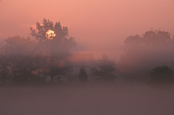 sunrise at huron meadows in fog 1.jpg