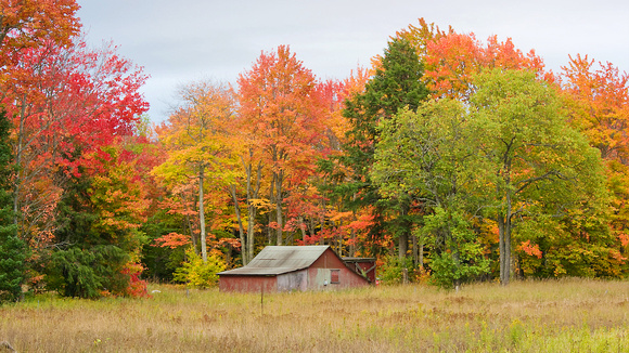 red barn with fall color 08 32.jpg