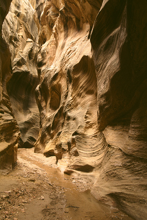 utah willis creek slot canyon 2.jpg