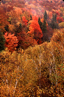 fall color cut river bridge 3.jpg