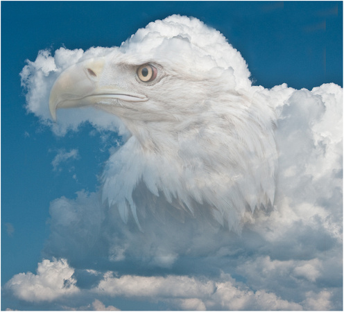 eagle clouds