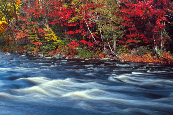 fall lake superior red maples Bot river 06 2-Edit.jpg