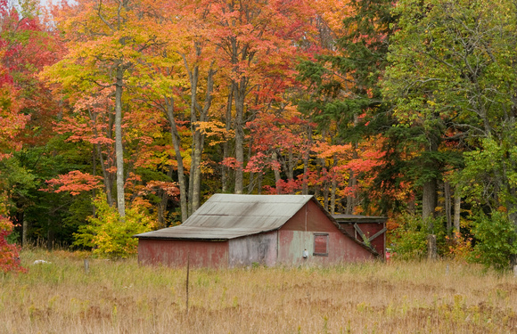 red barn with fall color 08 32-3.jpg