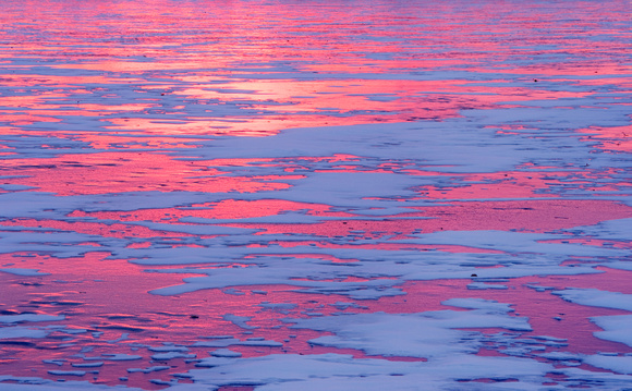 pink ice pattern at sunrise 09 233.jpg