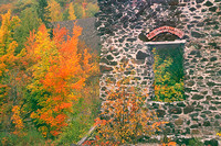 fall color at central mine.jpg
