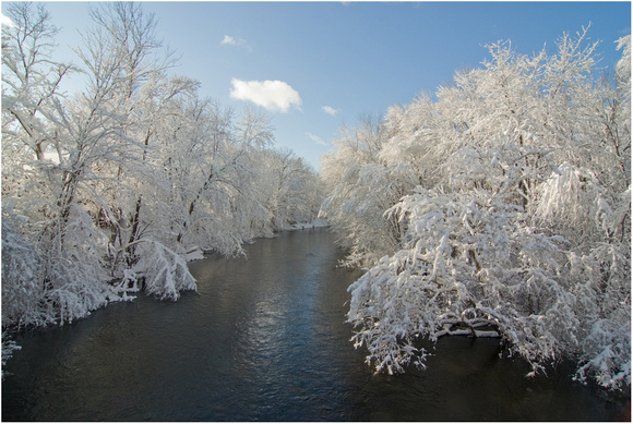 Huron River frosted trees
