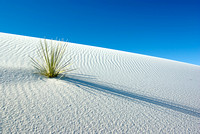 White Sands National Monument 08 .jpg