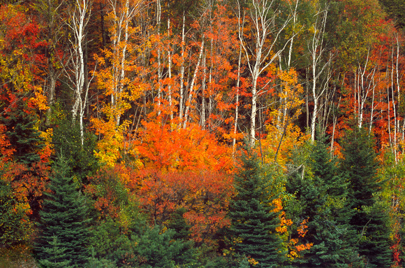 fall lake superior roadside color 06 2.jpg