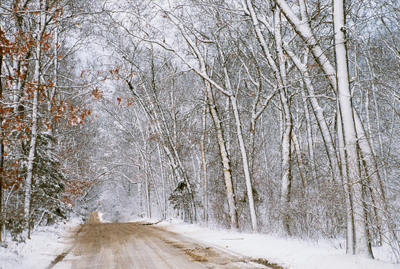 snow and trees rickett road 06 2.jpg